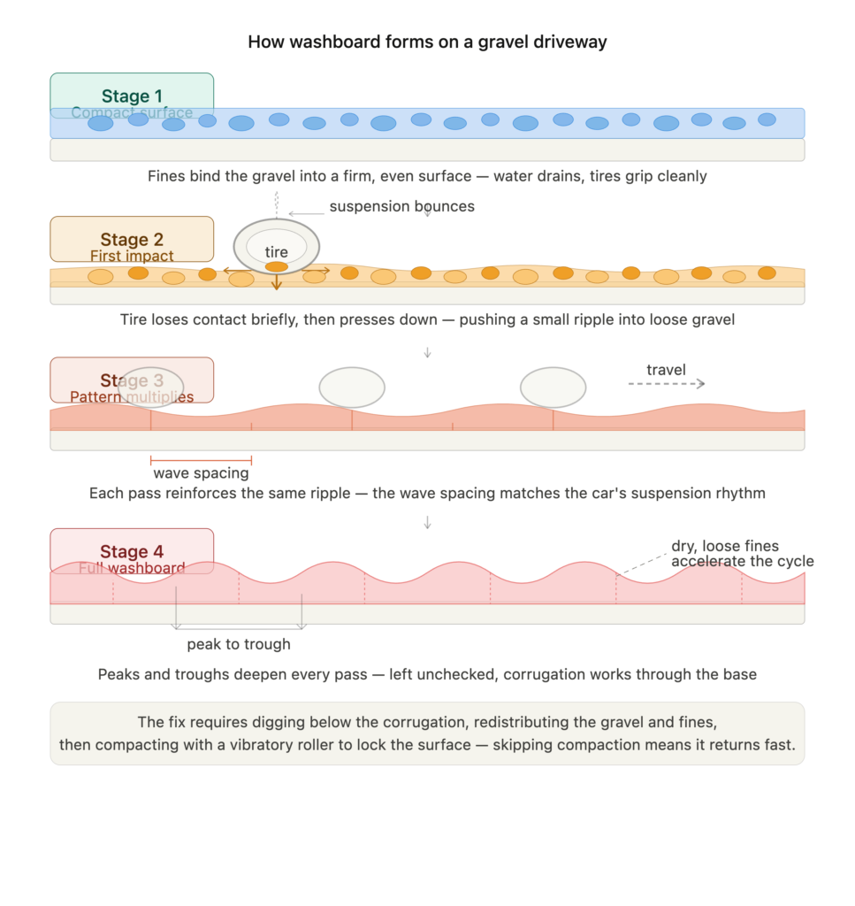 Four-stage diagram showing how washboard corrugation forms on a gravel driveway, from a compact flat surface to deep peaks and troughs caused by repeated tire impact on loose gravel fines.